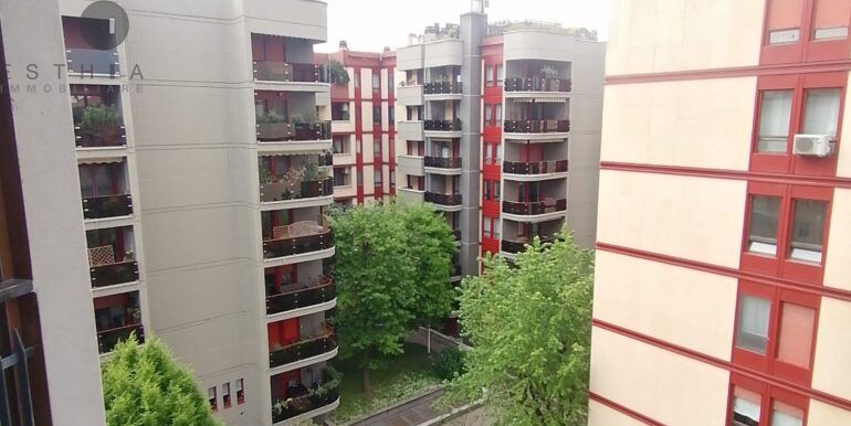 vista