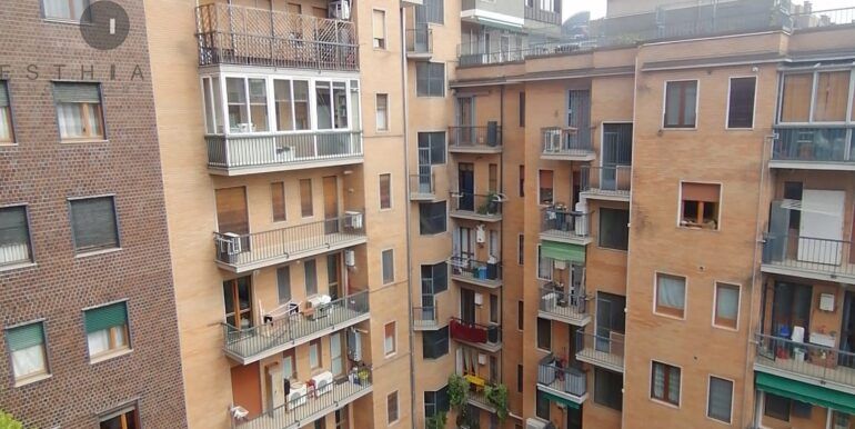 vista2