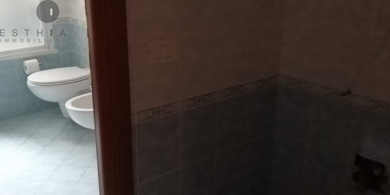 9767daa2-1b2f-486c-a87f-7cb069650fe4